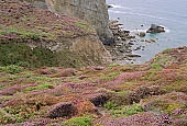 Camaret, le Sentier Ctier 